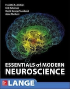 Essentials of Modern Neuroscience | ملزومات علوم اعصاب مدرن
